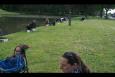 IMG 5529