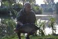 Rogier 3
