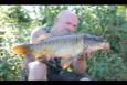 IMG 7820